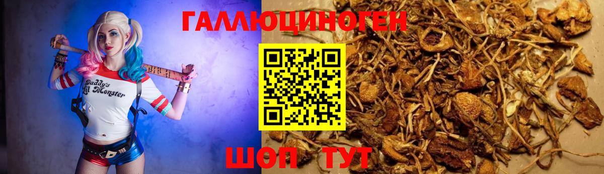 Галлюциногенные грибы прущие грибы Барнаул